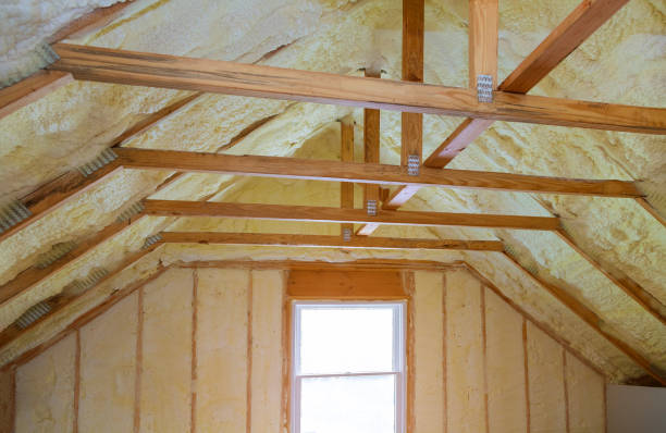 Best Cellulose Insulation in Pearsall, TX