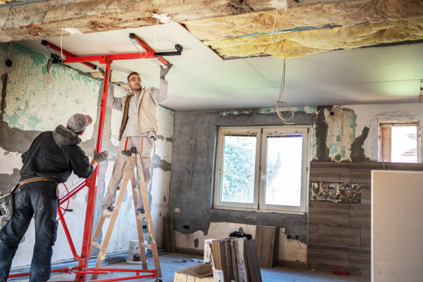 Best Geographic-Specific Insulation Services in Pearsall, TX