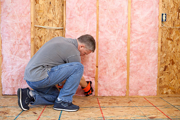 Types of Insulation We Offer in Pearsall, TX