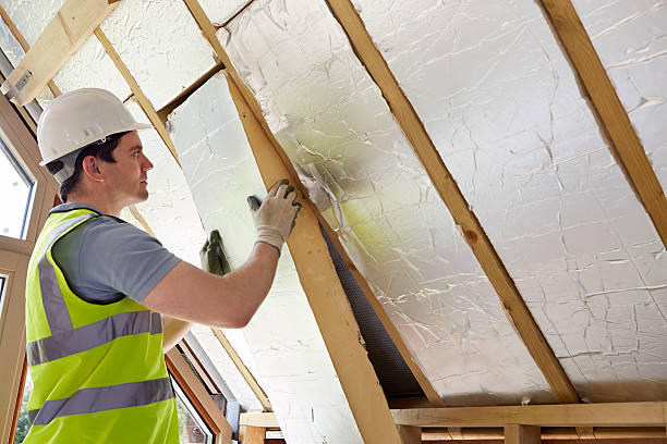 Best Specialized Insulation Services in Pearsall, TX