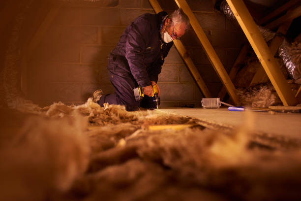 Best Fiberglass Insulation in Pearsall, TX